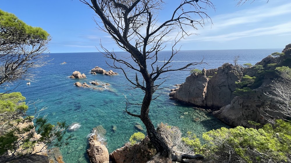 Platja de Sant Feliu