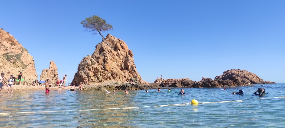 Platja Mar Menuda
