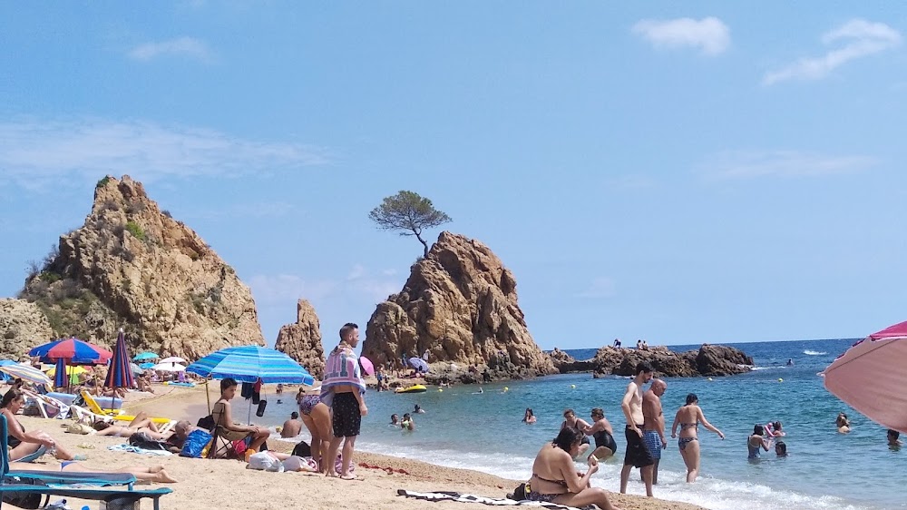 Platja Mar Menuda