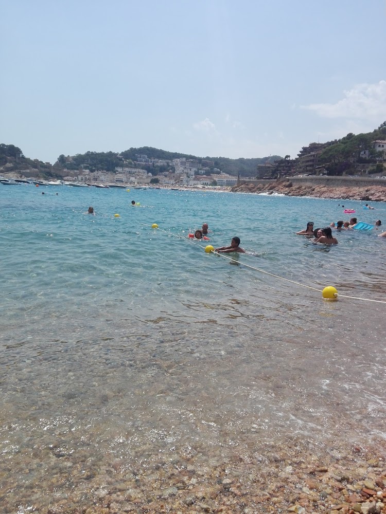 Platja Mar Menuda