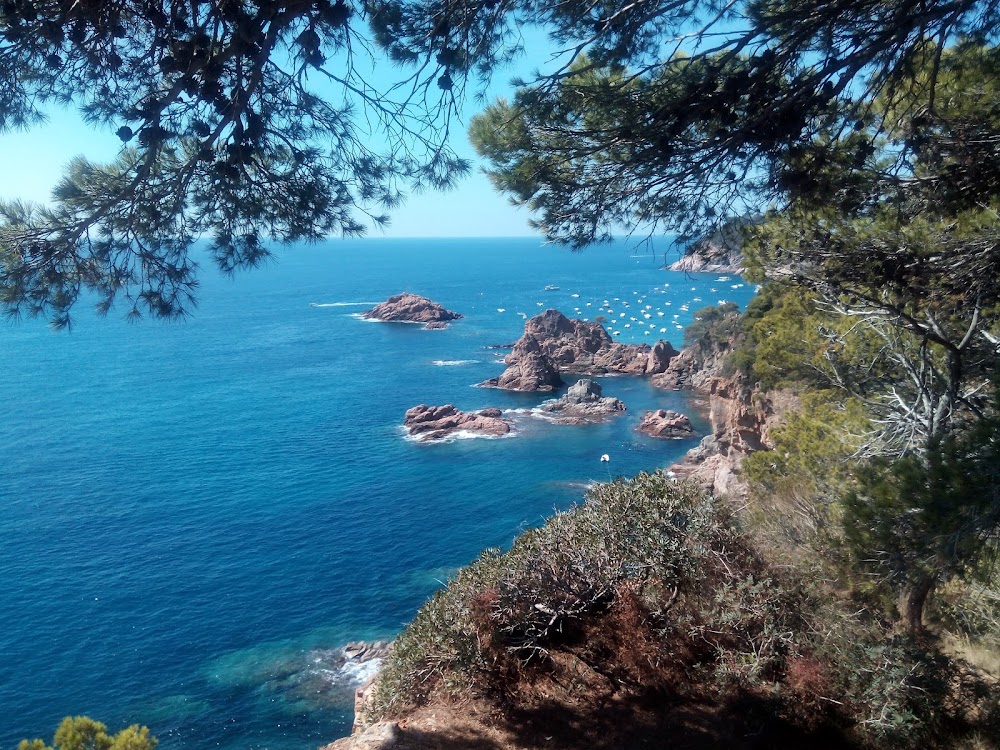 Platja Mar Menuda
