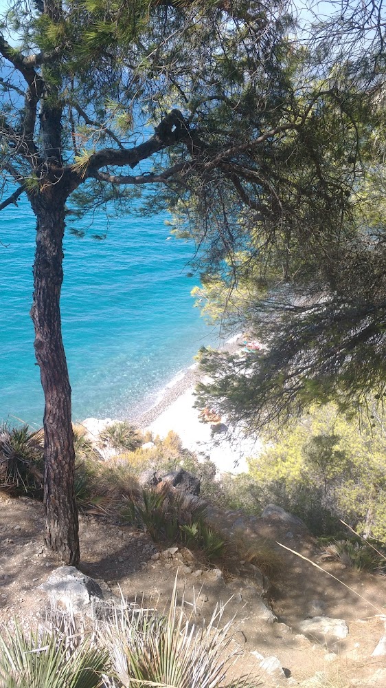 Playa Nudista de Cantarriján
