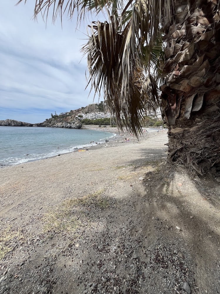 Playa Marina del Este