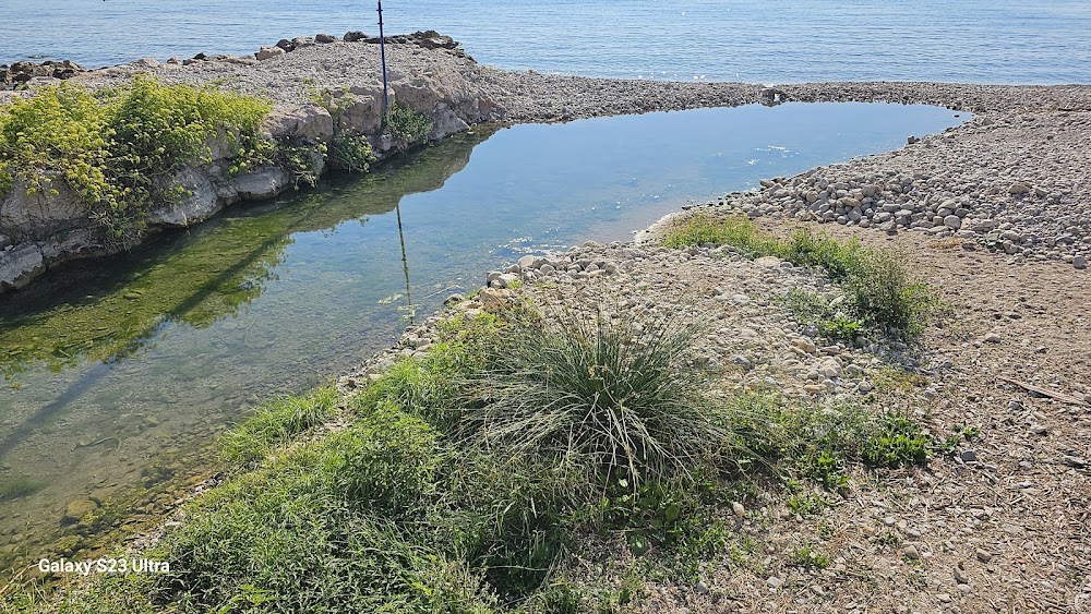 Plage des Chiens