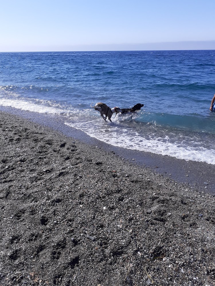 Playa Motril