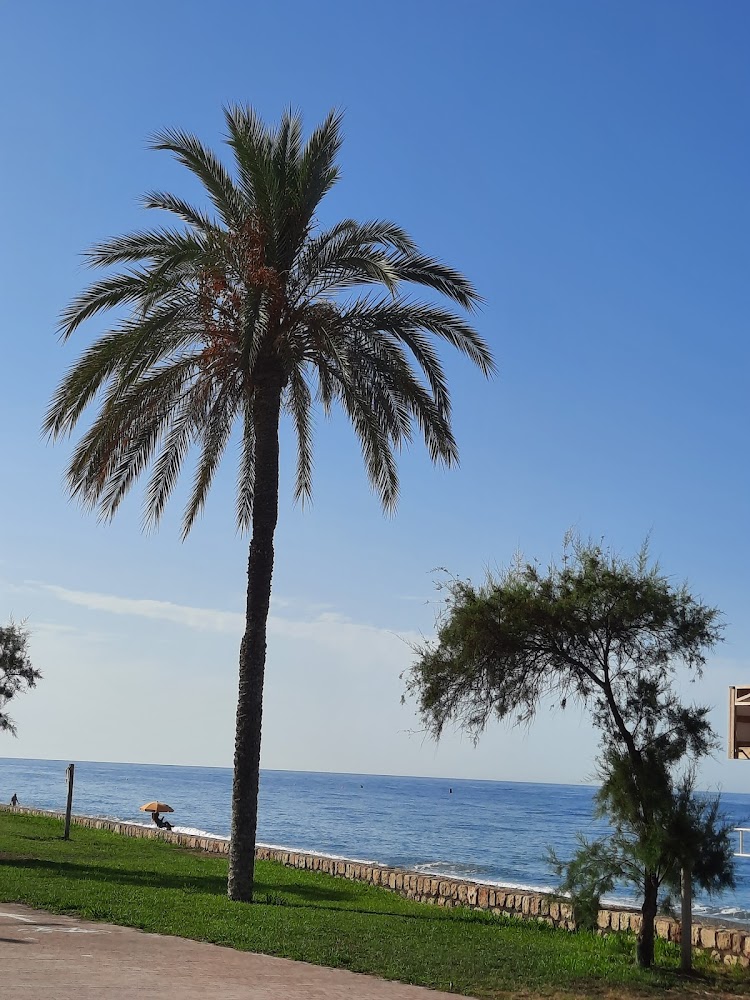 Playa Salobreña