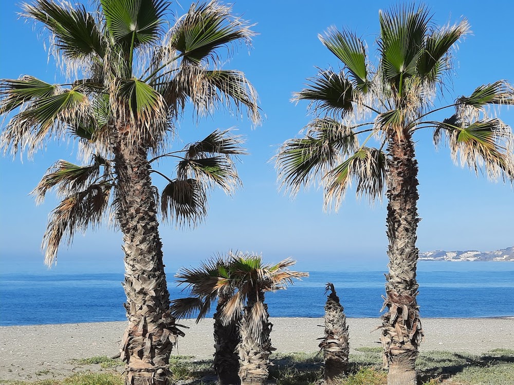 Playa Salobreña