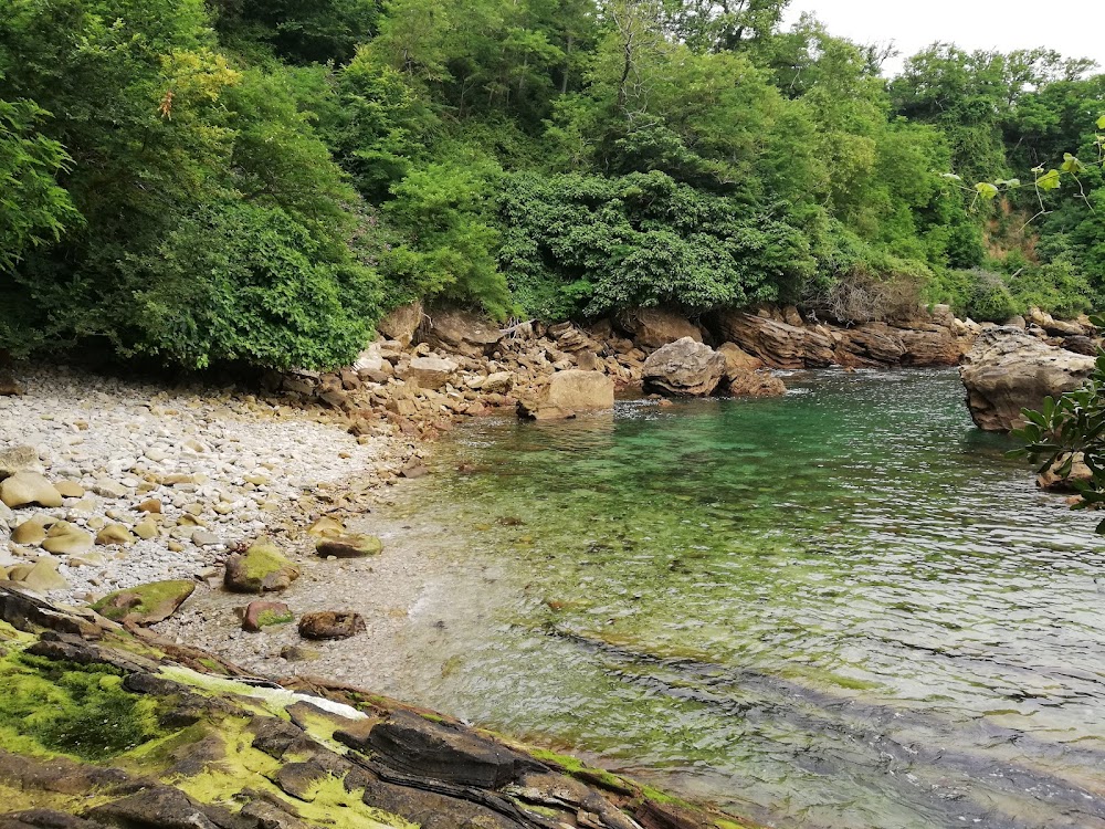 Playa de Los Frailes