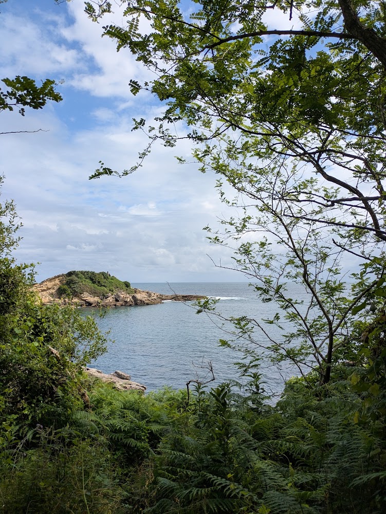Playa de Los Frailes