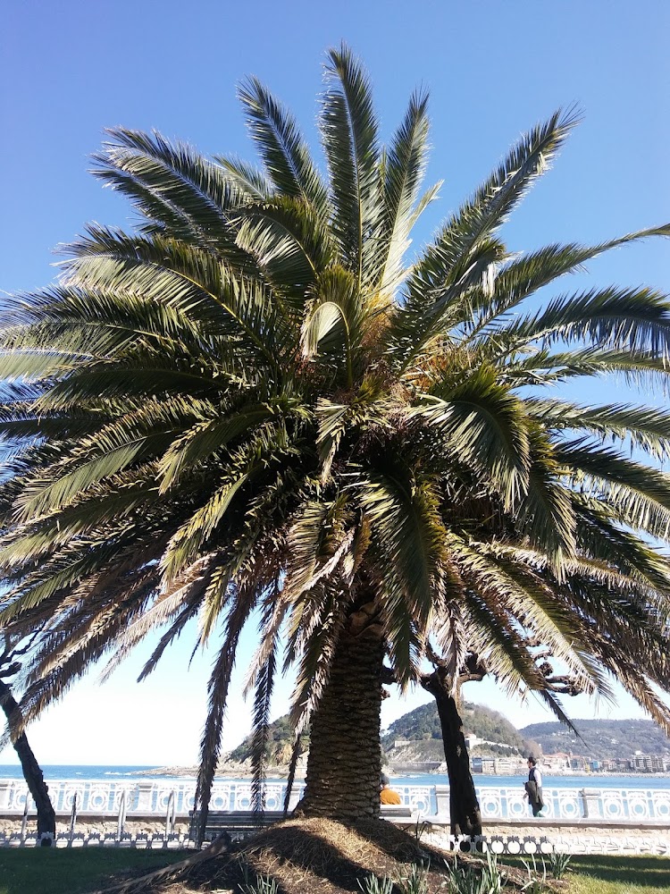 Playa de Ondarreta