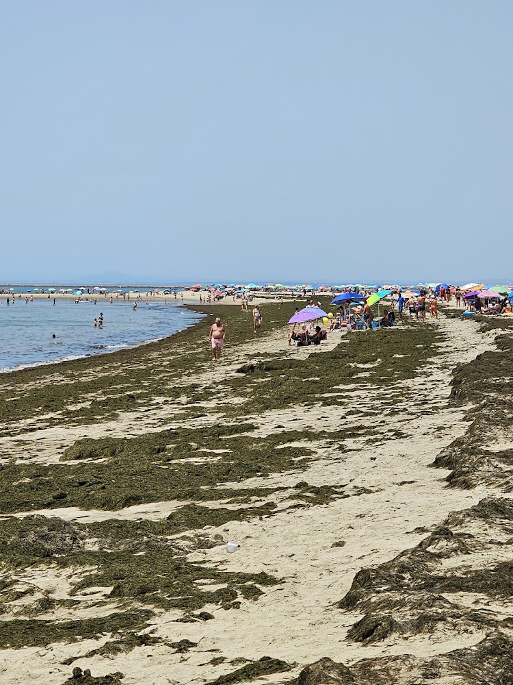 Playa de Isla Canela