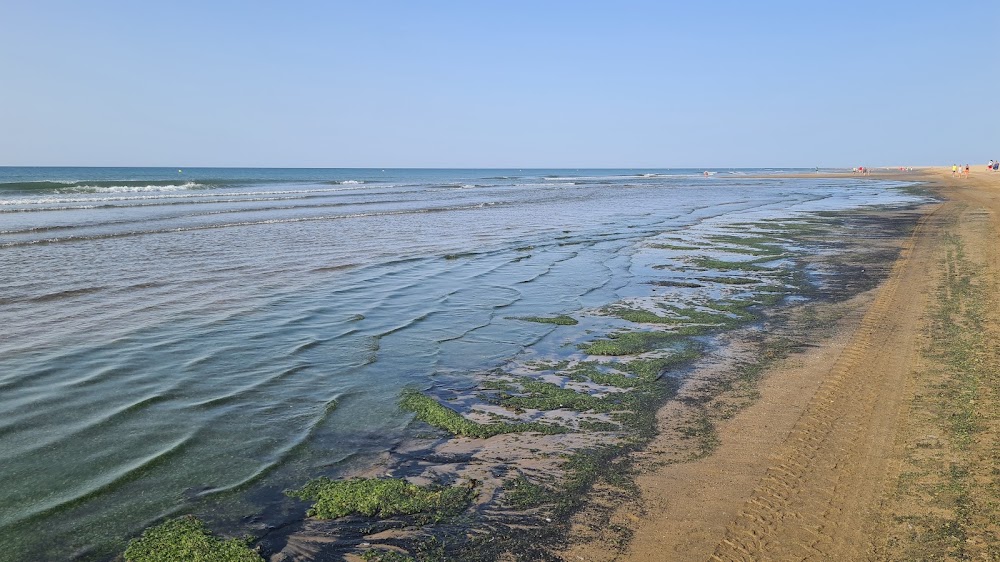 Playa de Los Haraganes