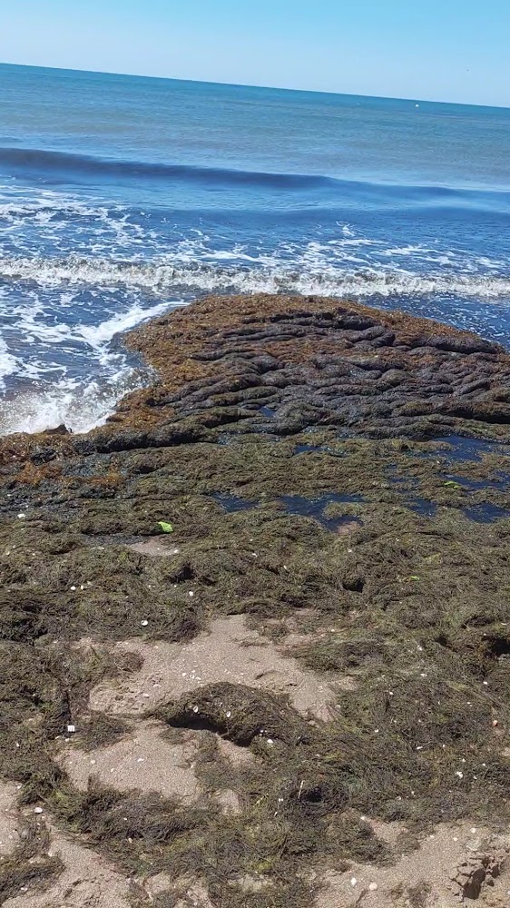Playa de Los Haraganes