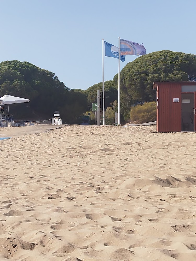 Playa de San Miguel