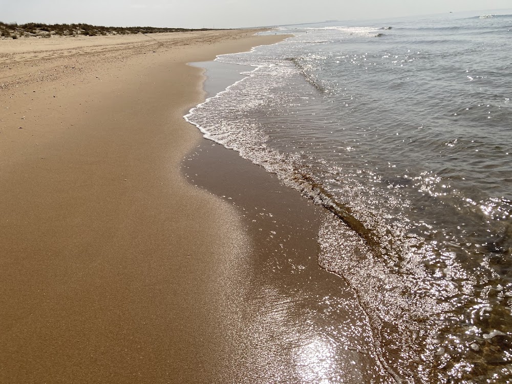 Playa Pesca