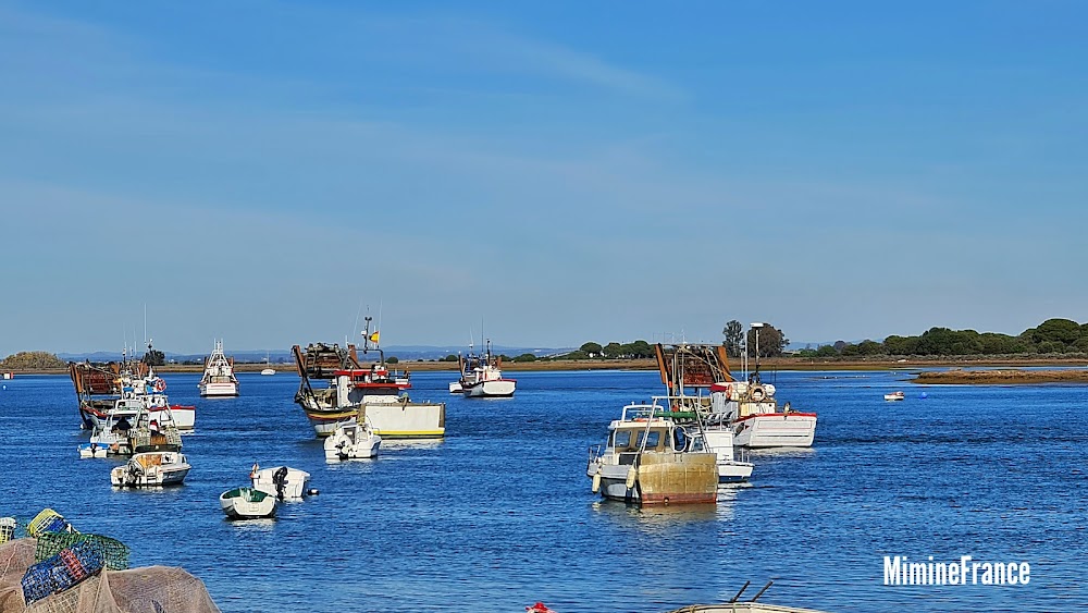 Playa de Punta Umbría
