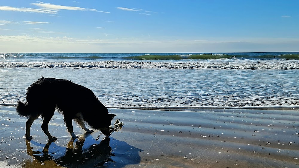 Playa de Punta Umbría