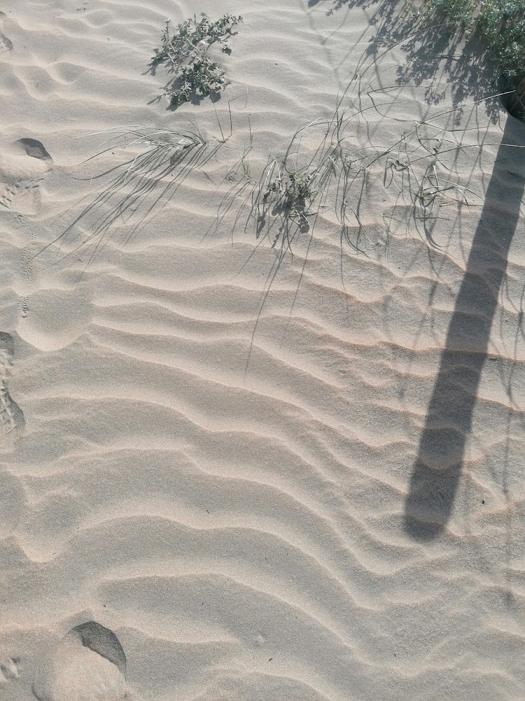 Playa de Punta Umbría