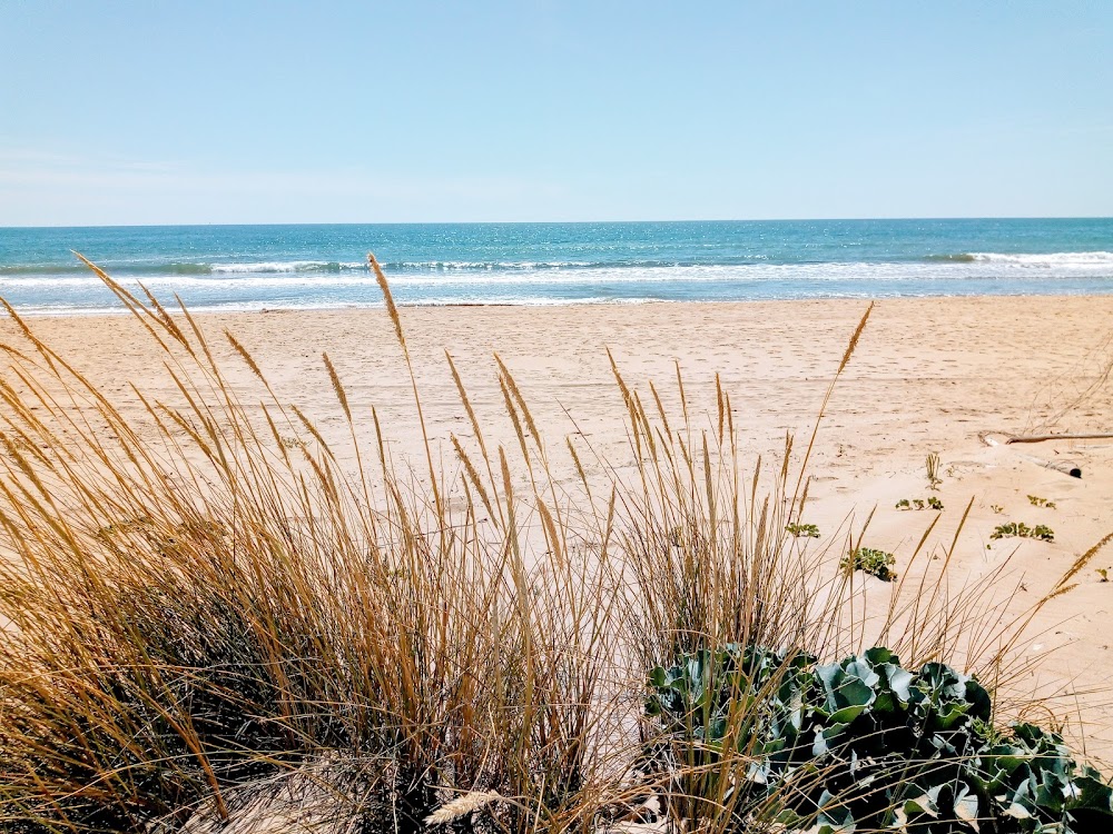 Playa de Punta Umbría