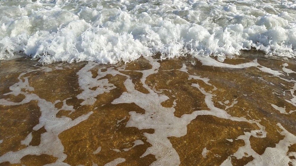 Playa del Picacho