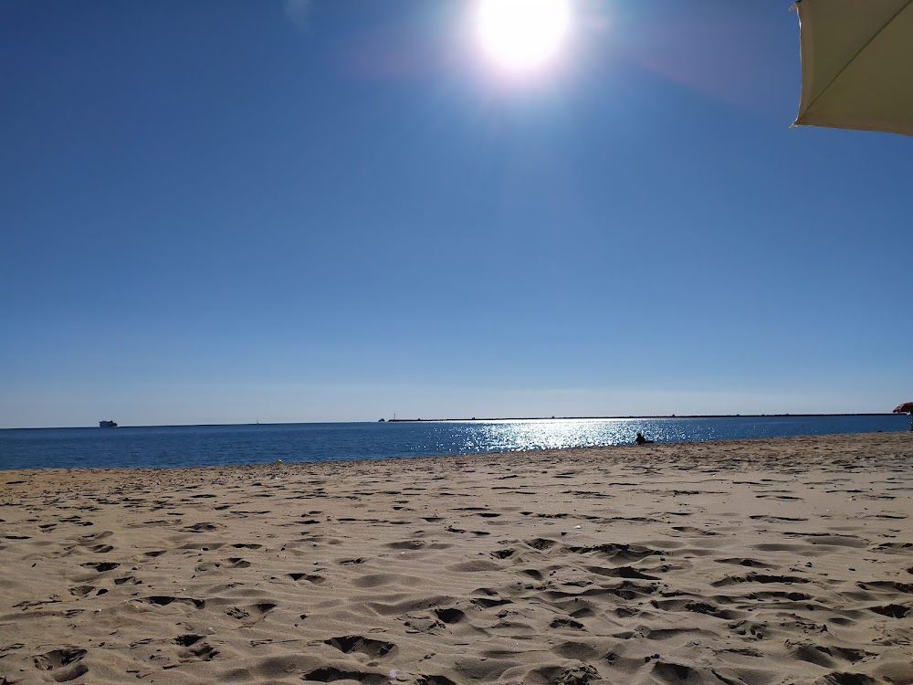Playa del Picacho