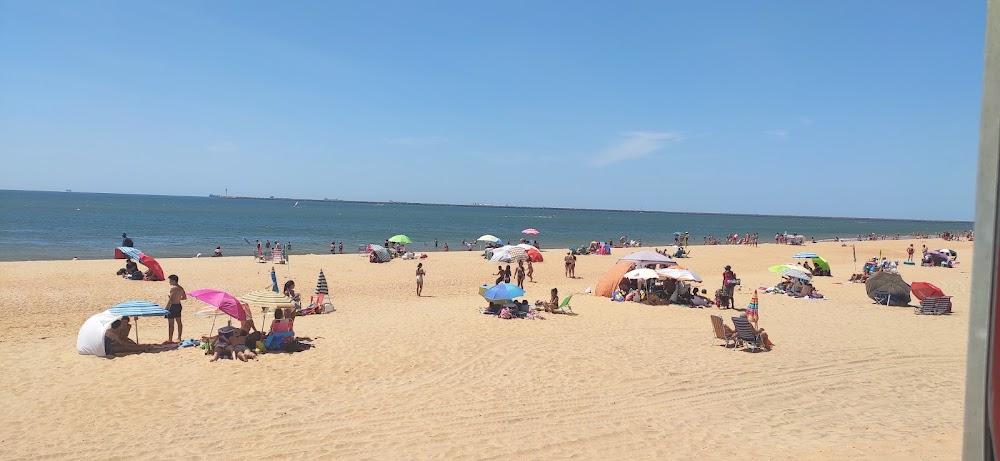 Playa del Picacho