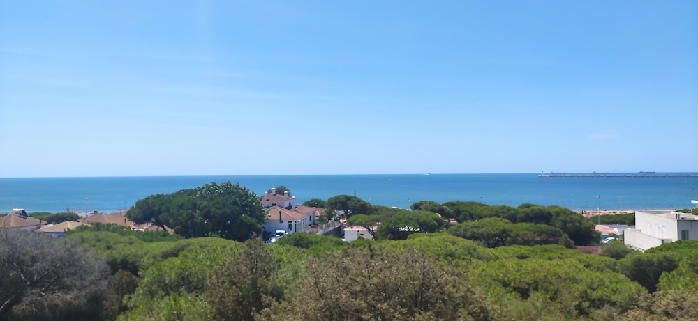 Playa del Picacho