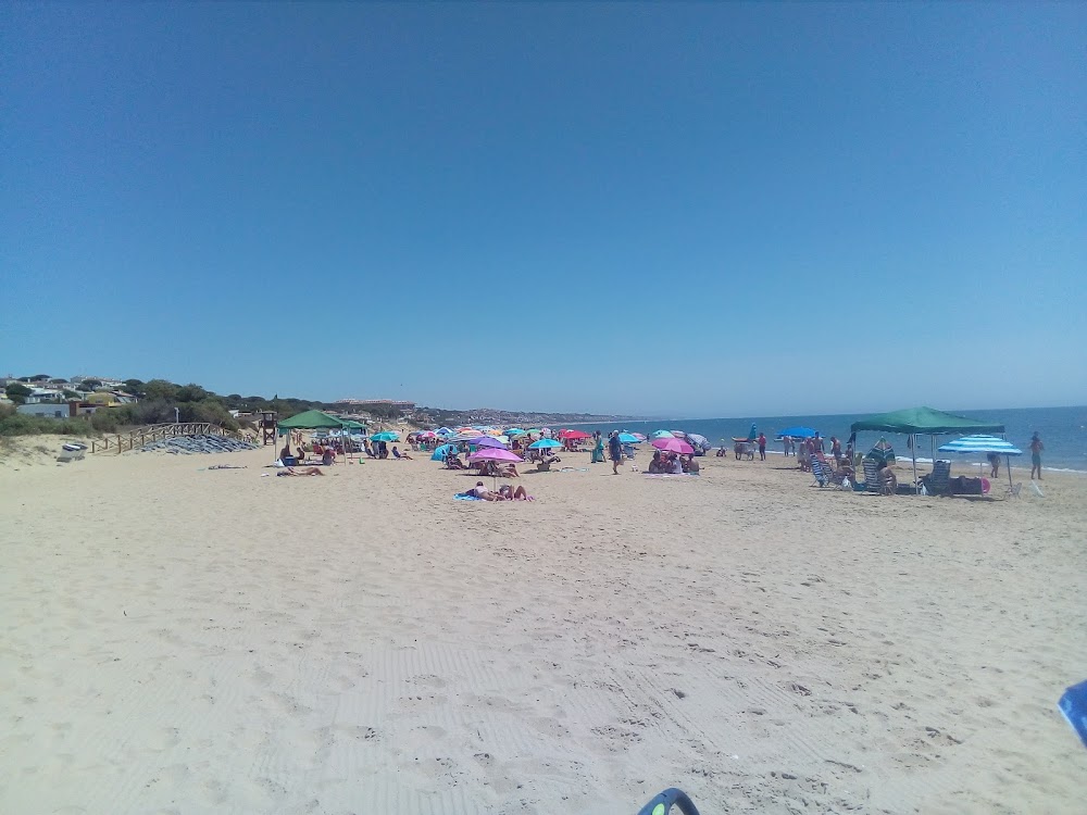 Playa del Picacho