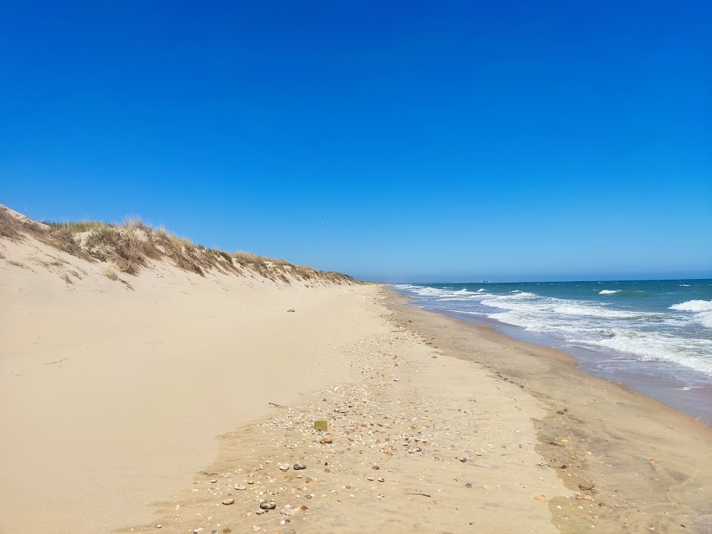 Playa de la Flecha de Nueva Umbría