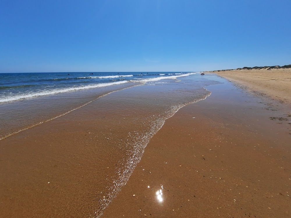 Playa de la Flecha de Nueva Umbría