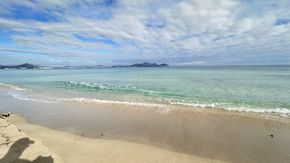 Alcudia