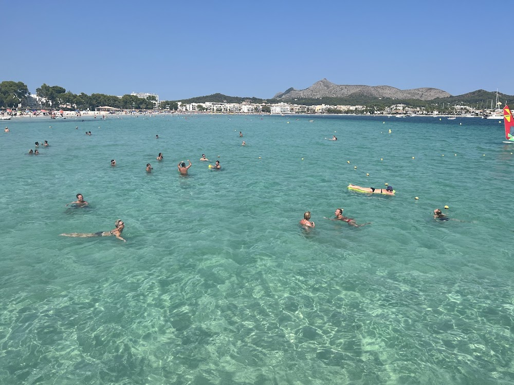 Alcudia