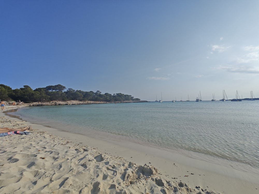 Playas de Son Saura