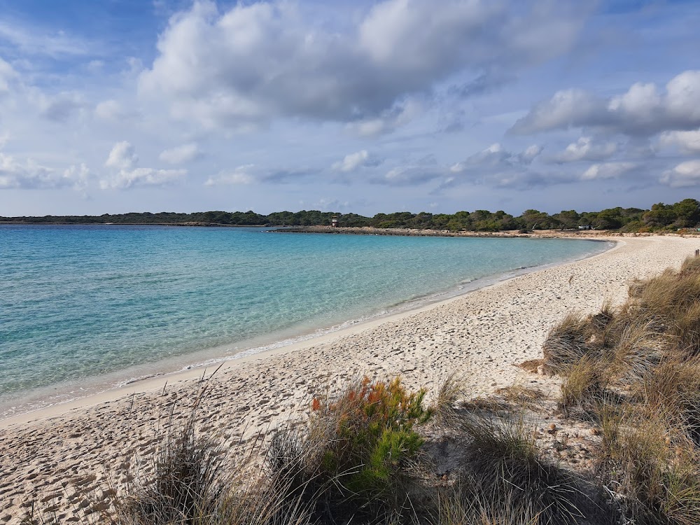 Playas de Son Saura