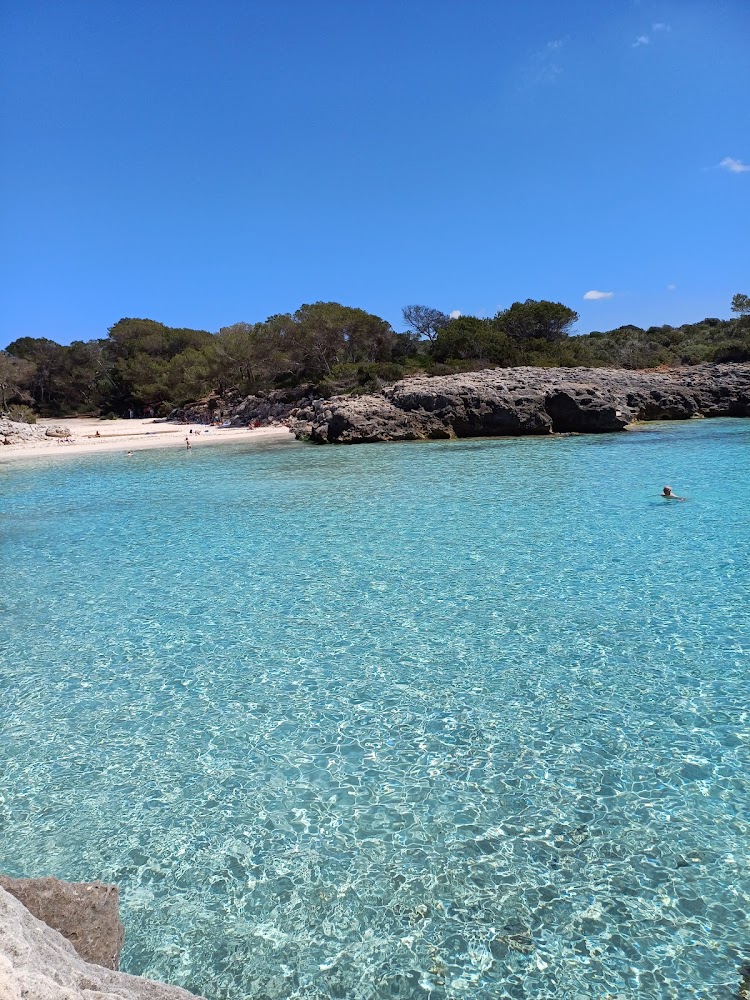 Playas de Son Saura