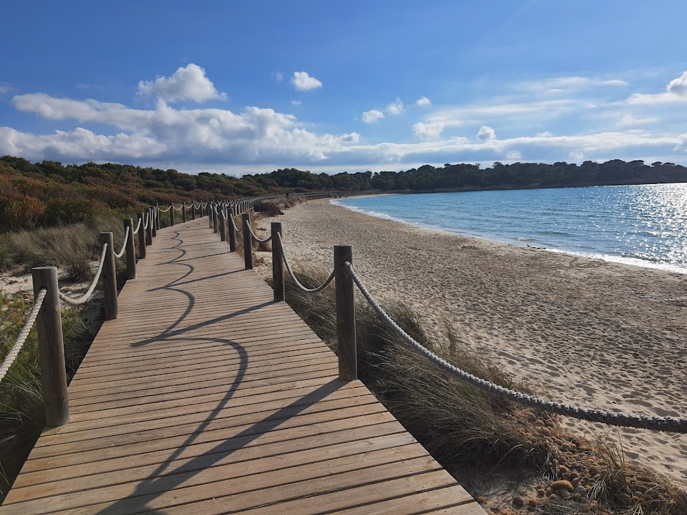 Playas de Son Saura
