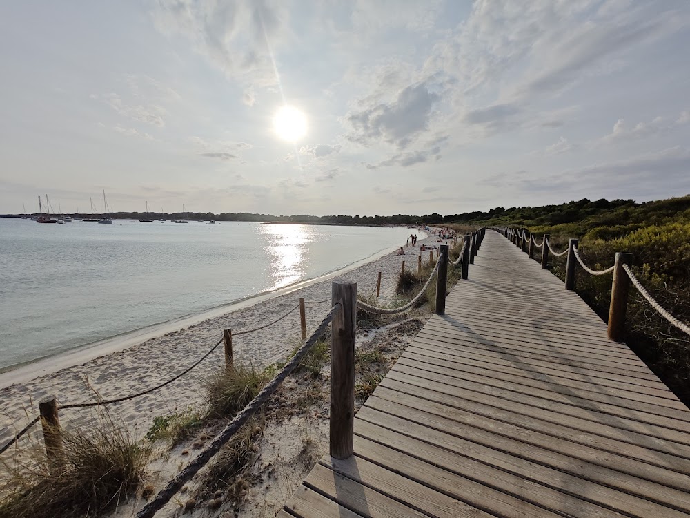 Playas de Son Saura