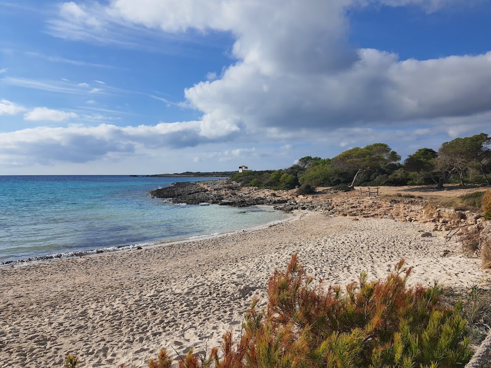 Playas de Son Saura