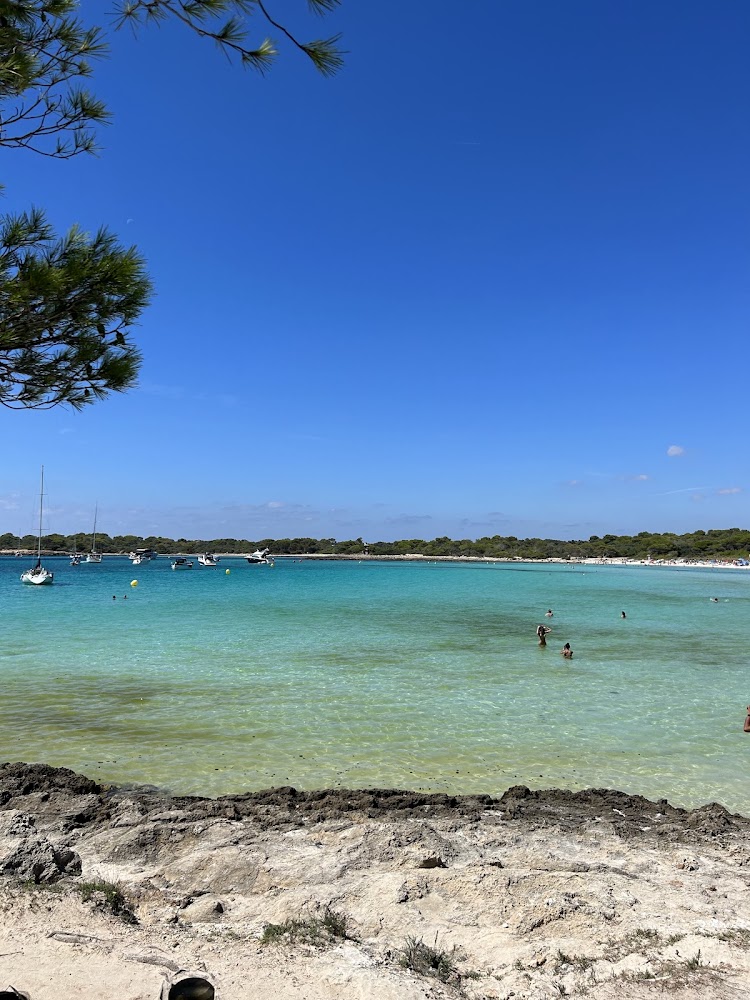Playas de Son Saura