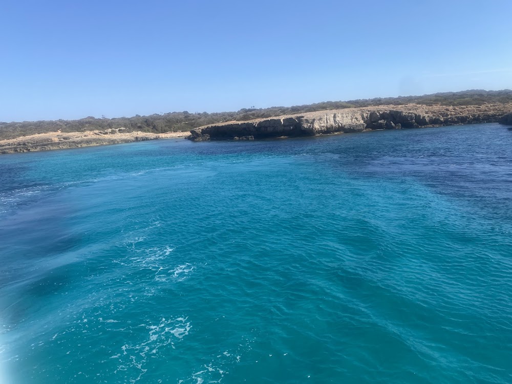 Playas de Son Saura