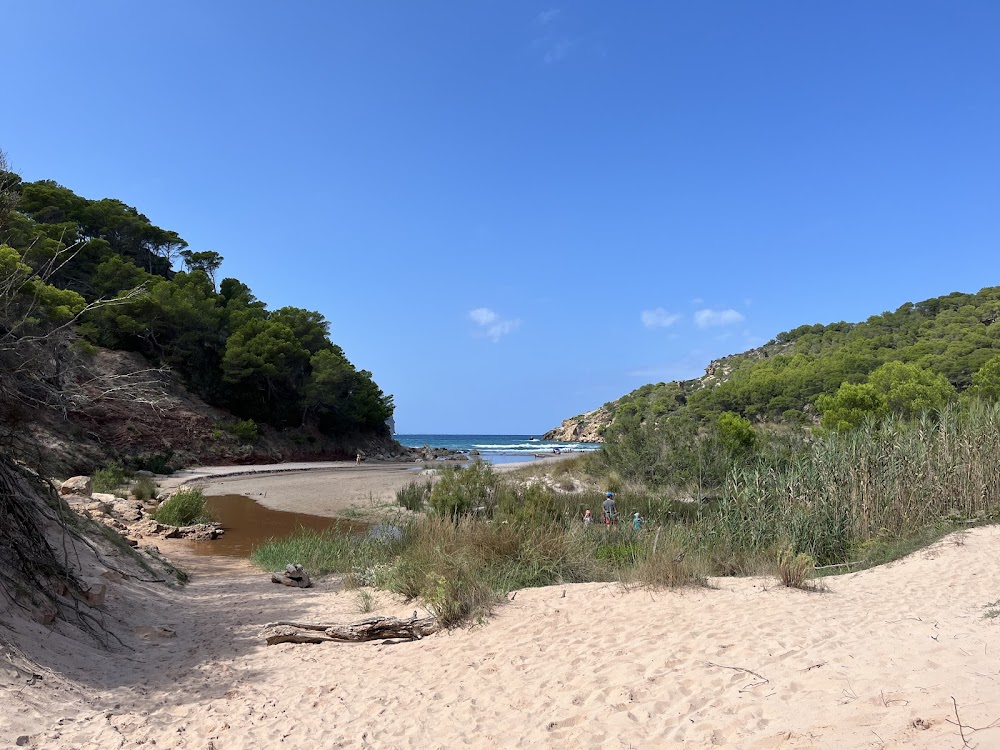 Es Tancats - Algaiarens