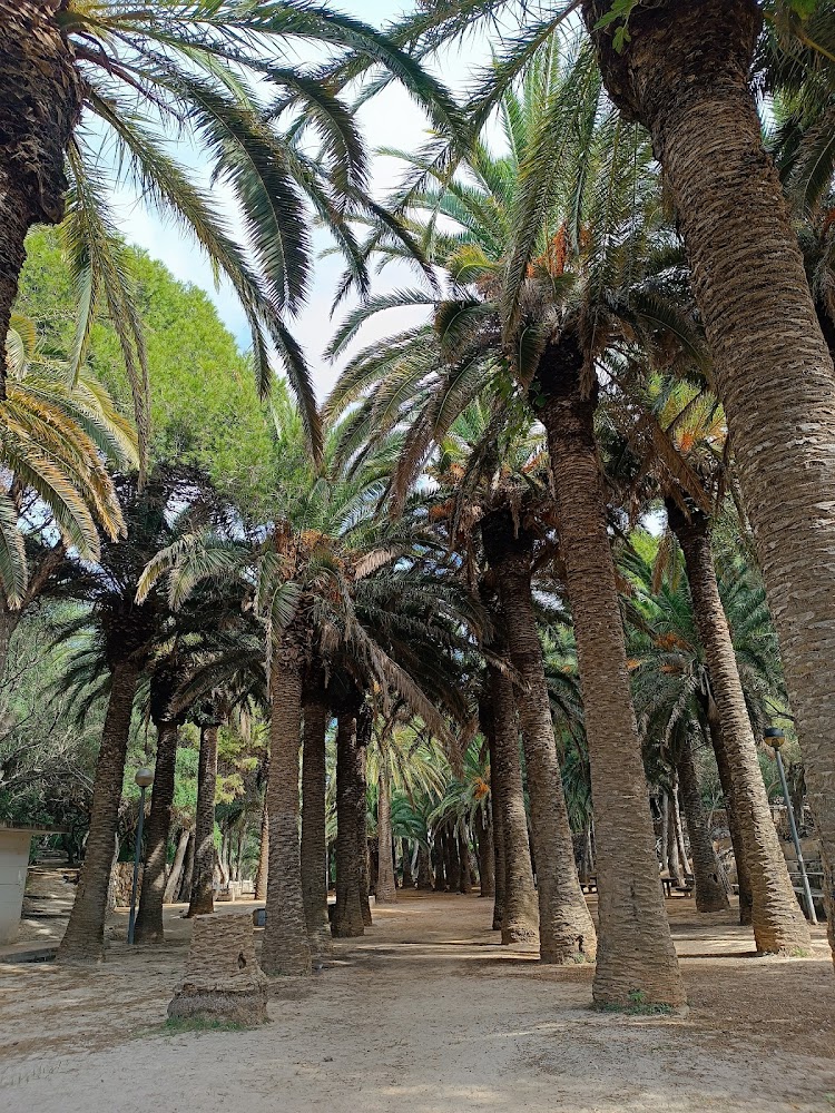 Platja Cala en Blanes