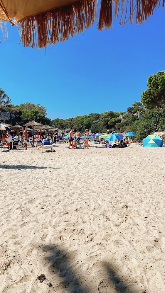 Platja Cala en Blanes