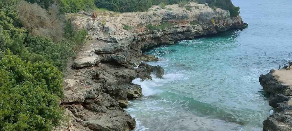 Platja de sa Farola