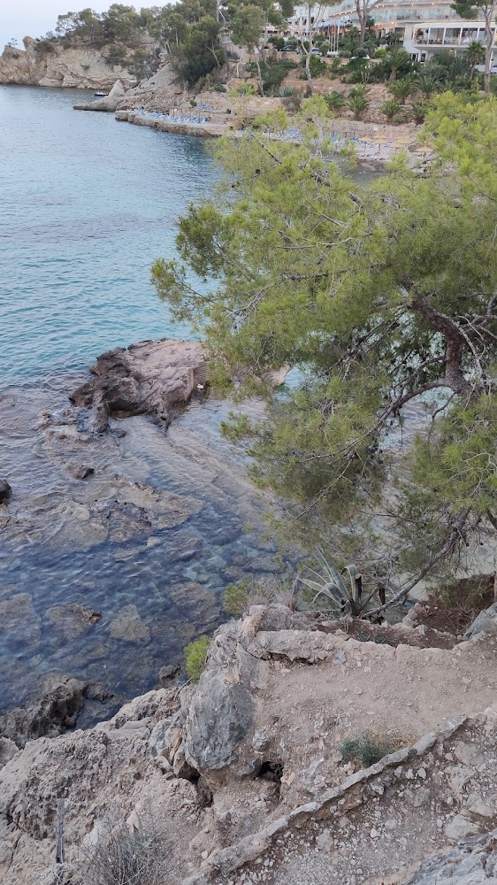 Platja de Cala Fornells