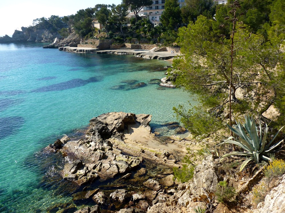 Platja de Cala Fornells
