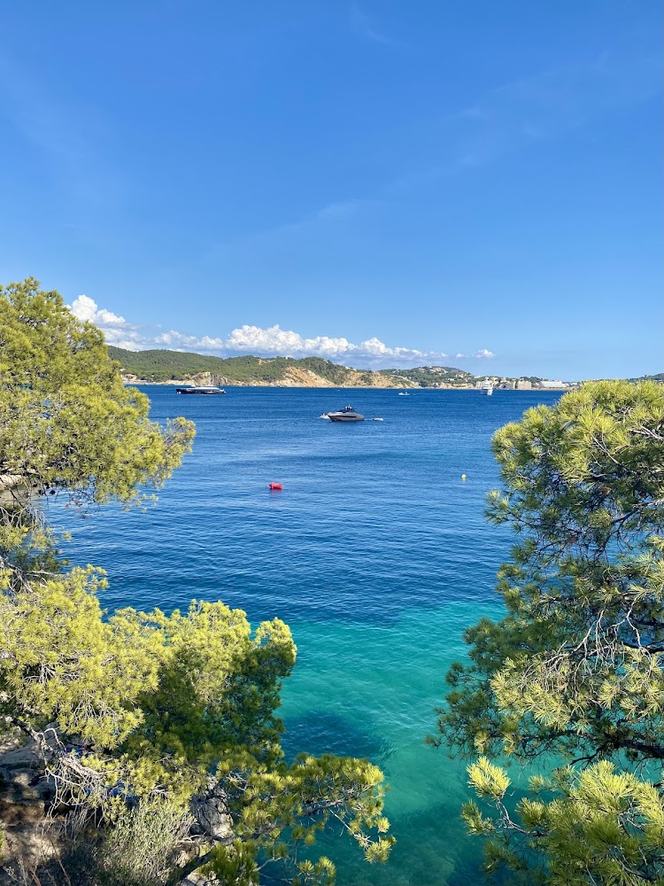 Platja de Cala Fornells