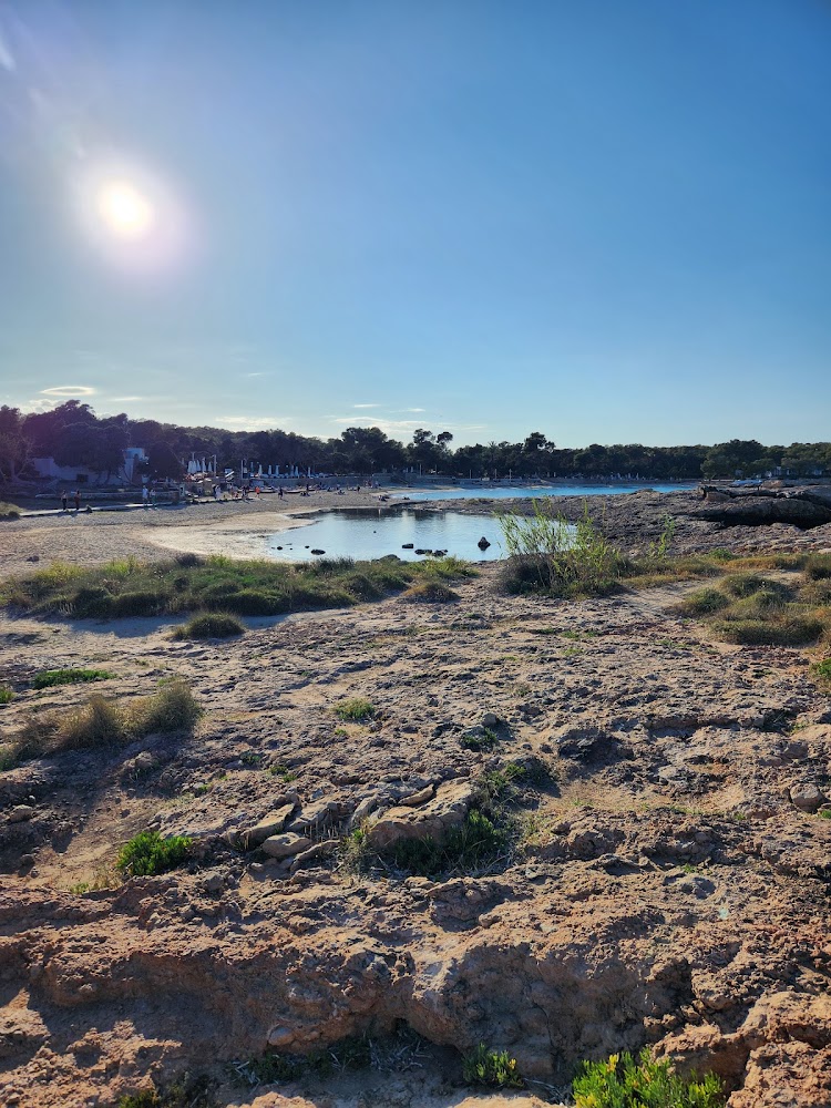 Cala Bassa Beach