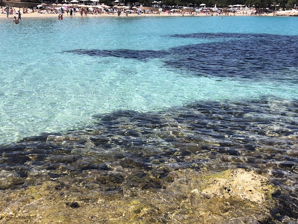 Cala Bassa Beach