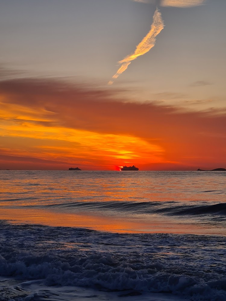 Playa de Bossa